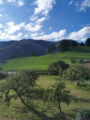 Landidyll am Thiersee - Ausblick