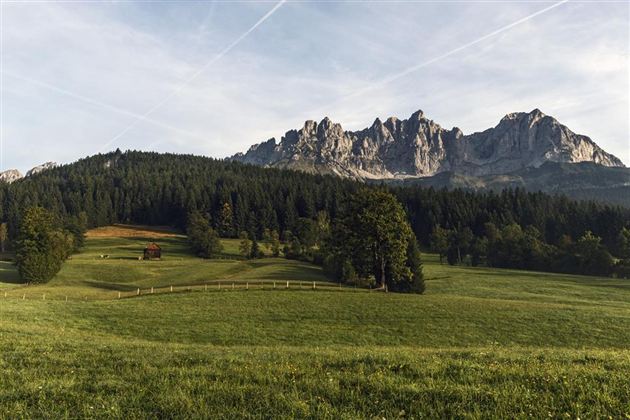 A picturesque meadow landscape with green meadows and dense forests. In the background, impressive mountains rise under a clear sky.