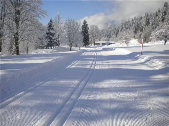 Landschaft Winter