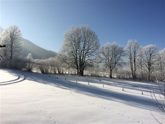Landschaft Winter