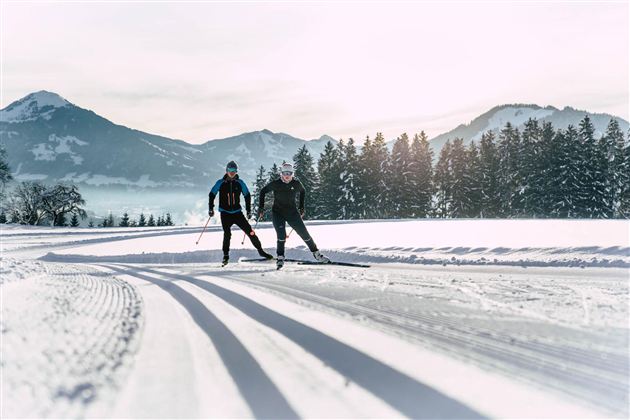 Two skiers glide on a snow-covered slope. In the background, mountains and coniferous trees can be seen.