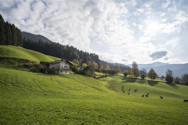 Lindenplatz Sommeransicht (c)Vermietung Ossanna_Fo