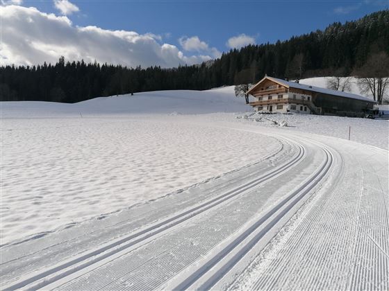 Loipe_Haus außen