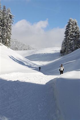 Loipe u Wanderweg Richtung Brennhütte