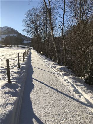 Loipe zu Fuß 5 min vom Haus