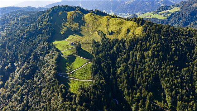 A green hillside landscape with gentle slopes and wooded areas. In the background, the mountains are visible, highlighting the natural beauty of the surroundings.