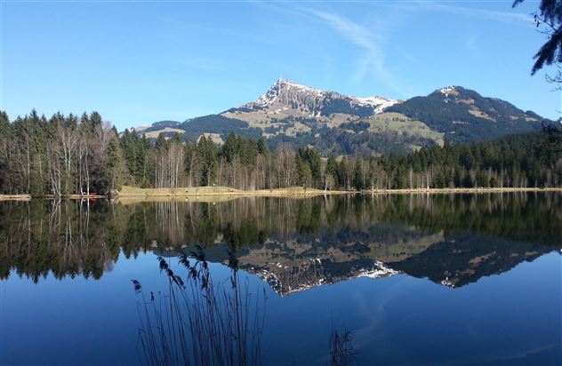 Naturjuwel Schwarzsee