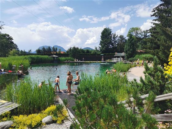 Ein Naturbad mit klaren Wasser und viel Grün. Menschen genießen die Sonne und die Umgebung.
