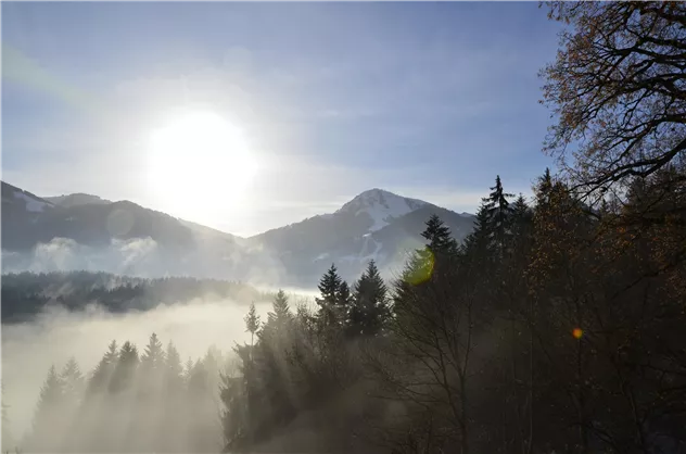 Nebel im Tal...