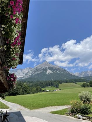 Oberachenhof Ausblick