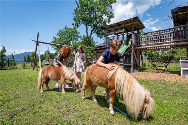 Oberachenhof_Oberachen_12_Ellmau_Spielplatz_Ponys