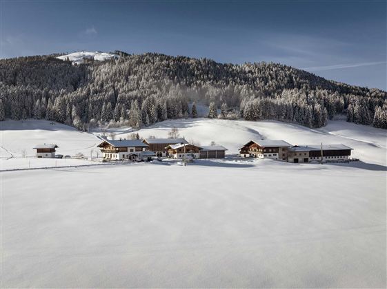 Eine ruhige Winterlandschaft mit verschneiten Hügeln und alten Bauernhäusern. Dunkle Tannenwälder umgeben die Szene und der Himmel ist klar.