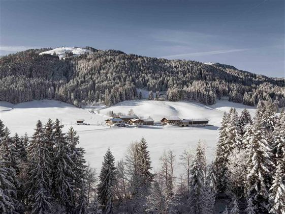 Eine verschneite Landschaft mit einem kleinen Bauernhof, umgeben von hohen, schneebedeckten Tannen. Der Himmel ist klar und die Berge im Hintergrund sind sichtbar.