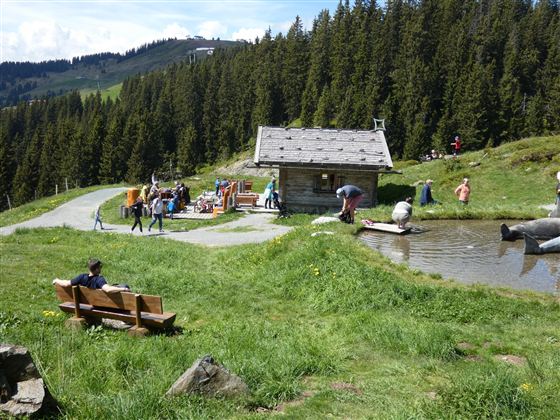 Eine idyllische Landschaft mit einer kleinen Hütte und einem Teich. Menschen genießen die Natur und verbringen Zeit im Freien.