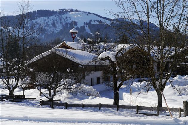 A snowy landscape with a traditional house and snow-covered trees. In the background, gentle hills can be seen.