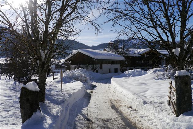 Een met sneeuw bedekte straat leidt naar een traditioneel huis in een winterlandschap. De bomen zijn bedekt met sneeuw en de lucht is helder en blauw.