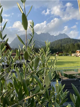 Panorama Terrasse