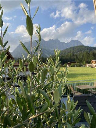Panorama Terrasse