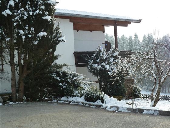 A house surrounded by snow-covered trees and shrubs. The landscape is wintry and peaceful.