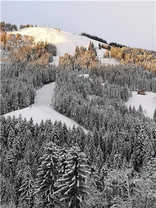 Perfekte Pisten Bedingungen am Hartkaiser