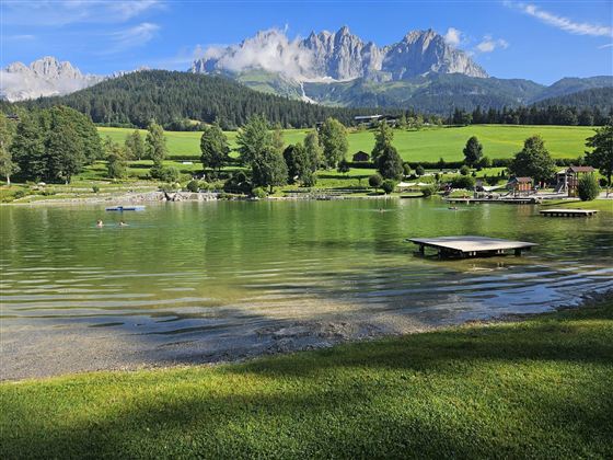 Een rustige meer omringd door groene weilanden en bossen. Majestueuze bergen rijzen op in de achtergrond onder een blauwe lucht.