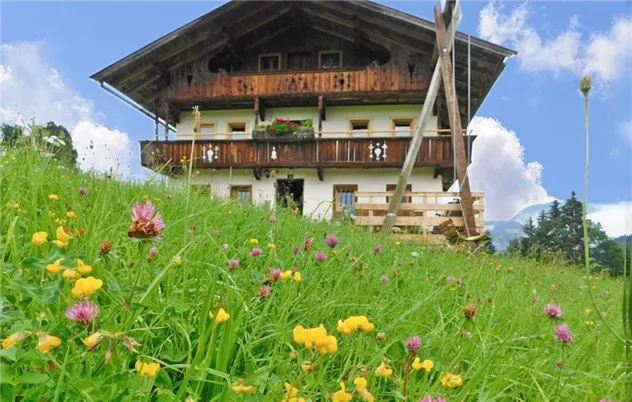 Platzlhof3