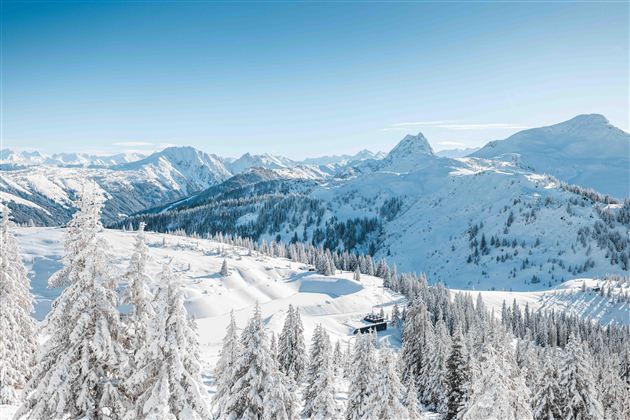 PreView_MatGartner_020