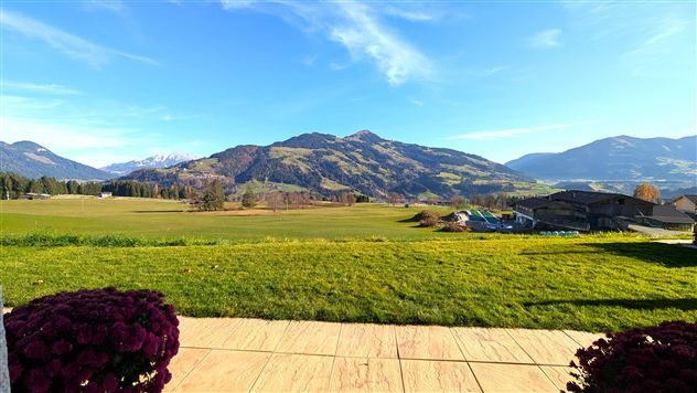 PXL_20251114_091538975.MP