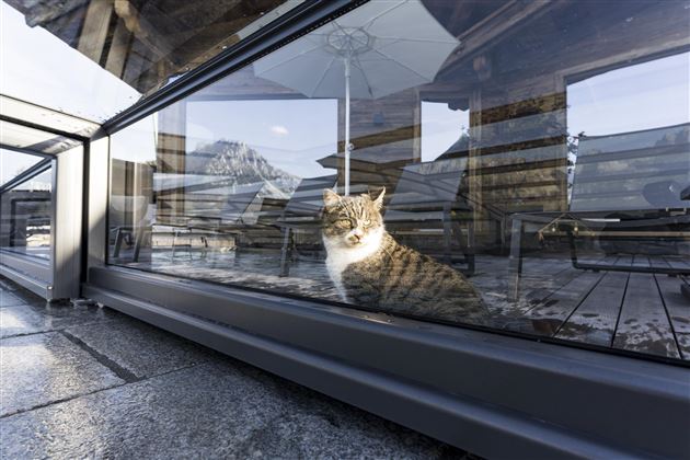 reell-kommunikationsdesign-NASCHBERGHOF-klein-287