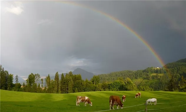 Regenbogenklein