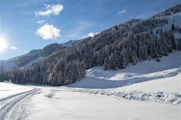 Rettensteinhütte_Anfahrt_Winter_Hintenbach_02