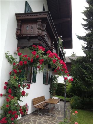Rosenbogen