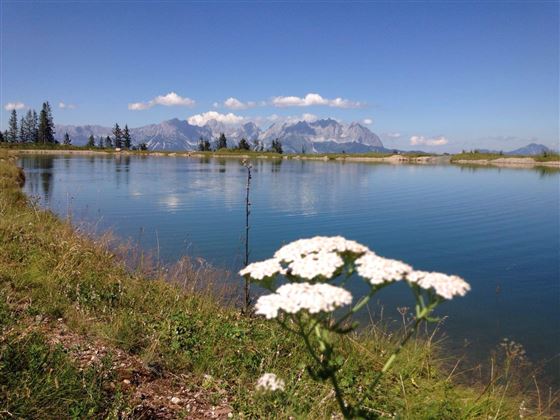 Salvensee