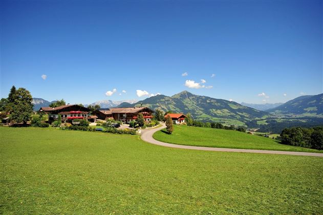 Sammerbauer Sommer Header