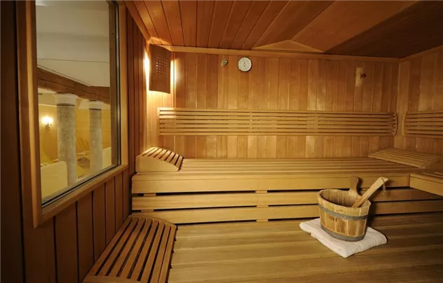 Sauna 2011