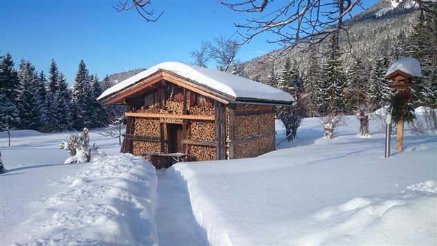 Scheffau_Bärnstatt_Winter_WilderKaiser