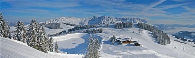 Eine winterliche Landschaft mit schneebedeckten Bäumen und Bergen im Hintergrund. Der Himmel ist klar und blau.