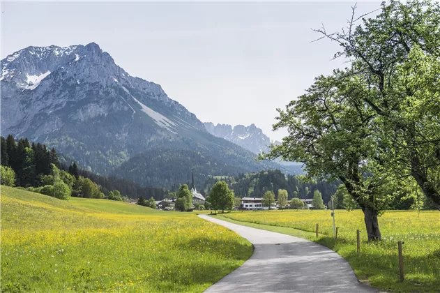 Scheffau Sommer