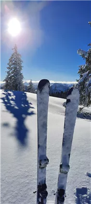 Skiing