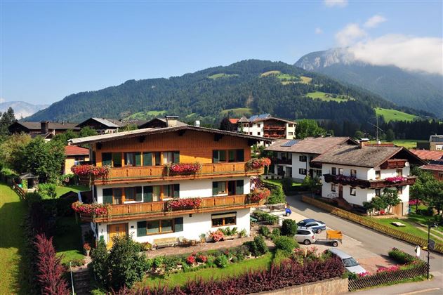 Schipflinger Foto Sommer