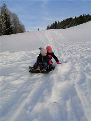 Schlittenfahrt am Erlerberg