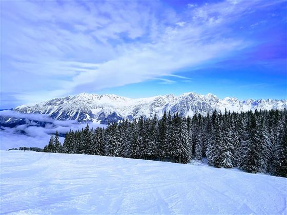 Eine winterliche Landschaft mit schneebedeckten Bergen und einem klaren blauen Himmel. Im Vordergrund befinden sich hohe, grüne Nadelbäume.