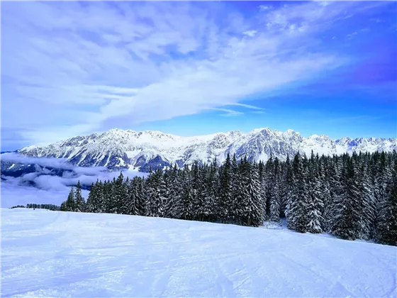 schneebedeckter Kaiser