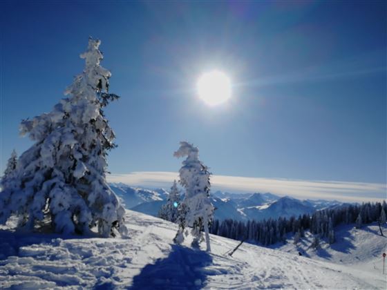 schneereich