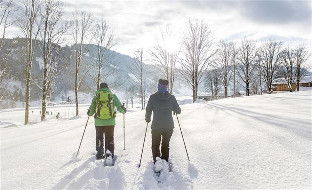 Schneeschuhwandern