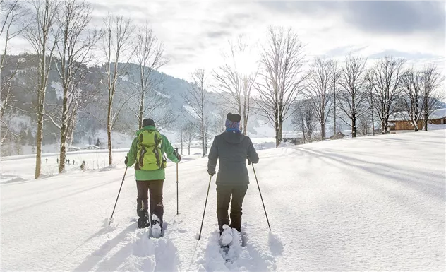 Schneeschuhwandern in Going