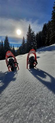 Two snowshoes in the snow, surrounded by dense forest. The sun is shining brightly in the sky.