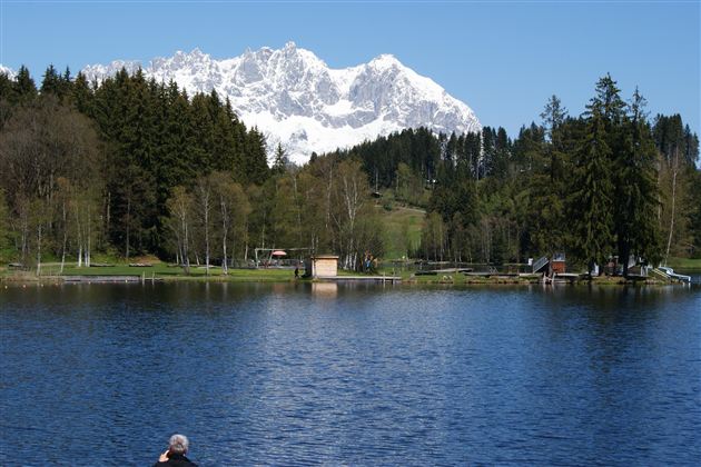 Ein ruhiger See umgeben von grünen Bäumen und Bergen. Im Hintergrund sind schneebedeckte Gipfel sichtbar.