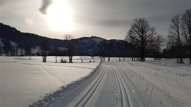 Eine verschneite Landschaft mit Langlaufspuren und Bäumen im Hintergrund. Die Sonne strahlt durch die Wolken und beleuchtet die Winteridylle.