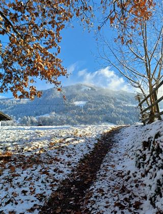 Screenshot_20251122_152144_WhatsApp
